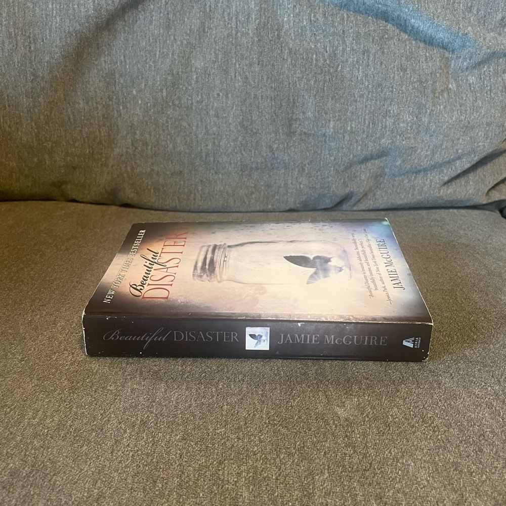 “Beautiful Disaster” Novel - Picture 3 of 6